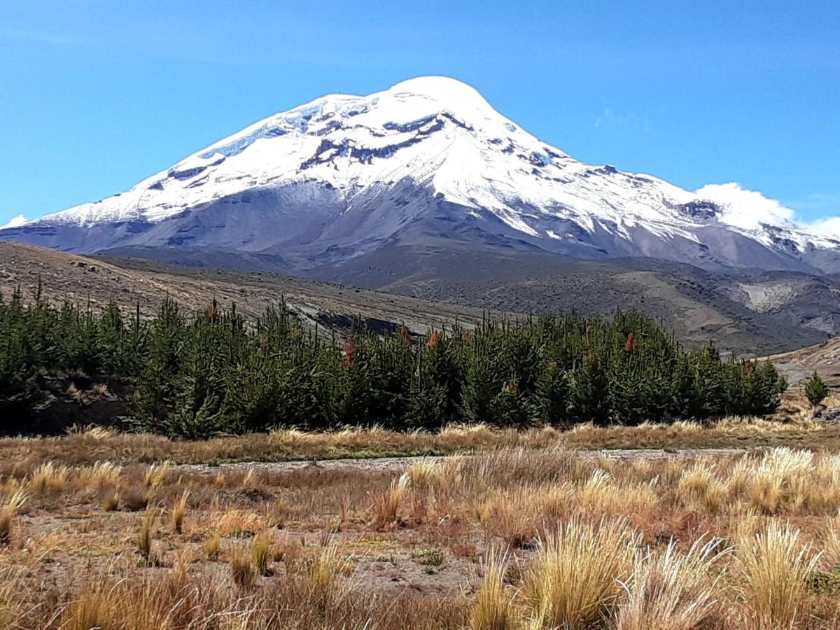Hospedaje Chimborazo Ngoại thất bức ảnh