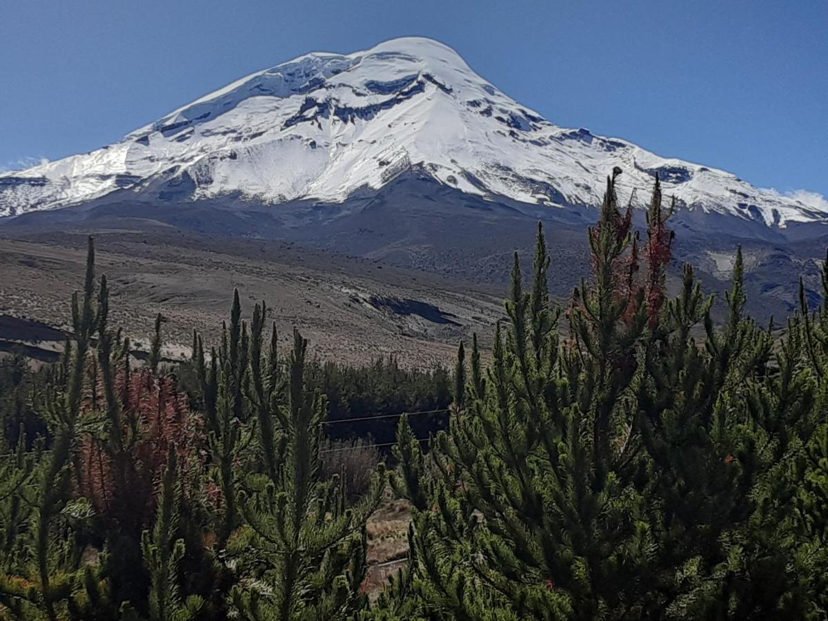 Hospedaje Chimborazo Ngoại thất bức ảnh